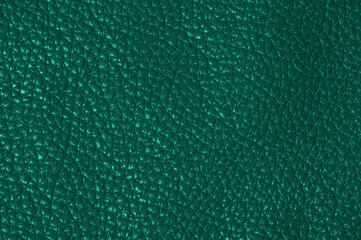 Close-up of dark green leather texture with grainy surface