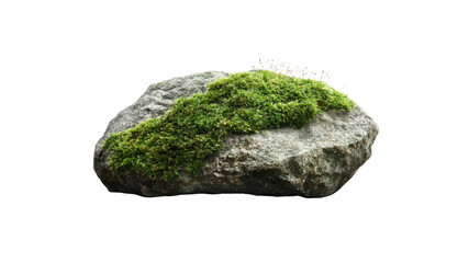 Moss-Covered Rock Isolated on Transparent Background - Nature Texture and Element