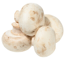 Fresh white button mushrooms piled on white background. Close-up of edible Agaricus bisporus fungus