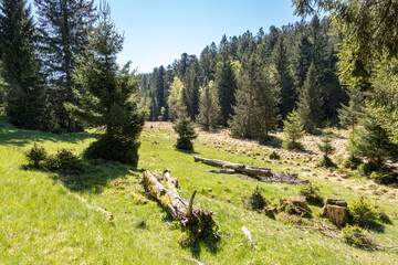 Hautes Vosges 