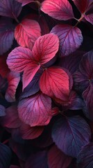 Colorful Leaves Illuminated by Soft Light in a Natural Environment During Twilight Hours