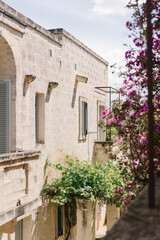 old house in the italian village in spring
