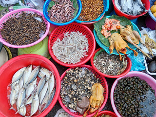 Phsar Kandal Wet Market Phom Penh Cambodia