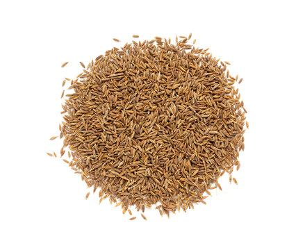Cumin seed isolated. Caraway or fennel dry seeds close up, zeera macro, Indian cumin or zira grains
