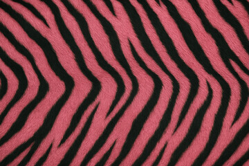 Pink Tiger Fur Texture. Animal Print. Background. Wallpaper.