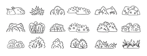Bushes doodle hand drawn line icon set. Bushes clipart outline