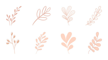 set of leaves vector view