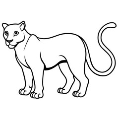 Fototapeta premium vector illustration of a cat