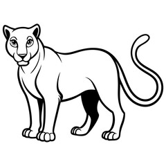 Fototapeta premium vector illustration of a cat