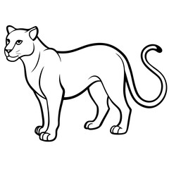 Fototapeta premium vector illustration of a cat