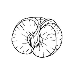 Line sketch, doodle of citrus fruit mandarin. Vector graphics.