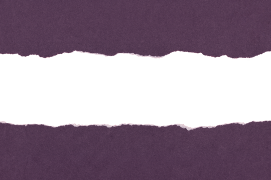 Torn blank purple pages with uneven texture edges. Ripped paper sheets isolated on transparent background.	