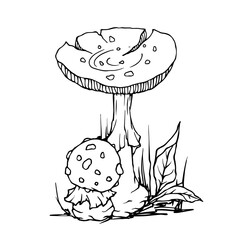 Linear sketch of autumn compositions of fly agaric mushrooms and forest plants. Vector graphics.