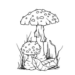 Linear sketch of autumn compositions of fly agaric mushrooms and forest plants. Vector graphics.