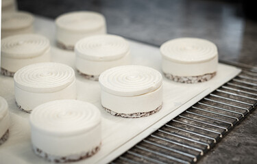 White Mousse Cake Petit G&acirc;teau on Display at a Gourmet Patisserie