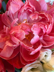 Peony in a bouquet