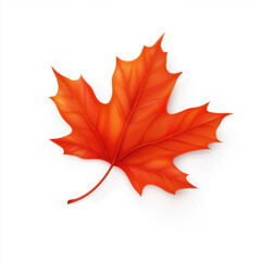 Obraz premium Bright autumn leaves isolated on white background with vibrant orange, yellow, and red tones, high-resolution natural foliage for seasonal design and creative compositions