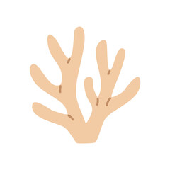 Minimal coral branch in white color with soft tips