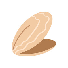 Flat beige mollusk shell with visible inner part