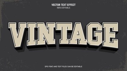 Vintage retro 3d text editable text effect