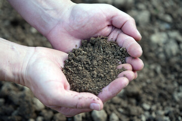 hands holding soil