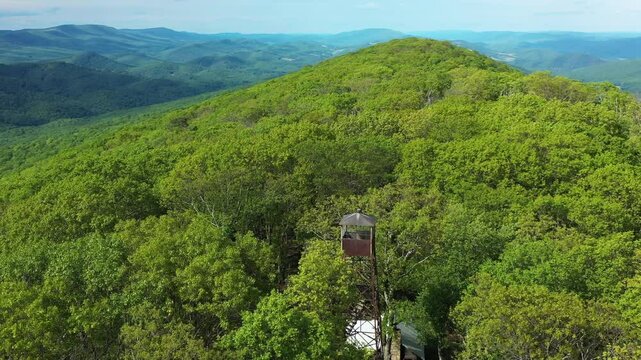 Aerial orbit of the abandoned Big Ridge Fire Tower, an 80' metal structure built in 1935, now decaying above the treeline in Lost River State Park, WV. Summer foliage surrounds the historic site.