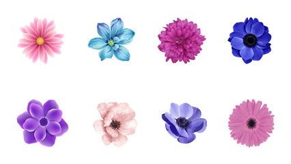 collection of flowers