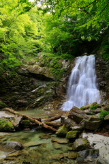 Obraz premium 新緑の石空川渓谷