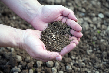 hands holding soil with seeds