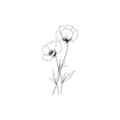 wildflower line art botanical drawings 