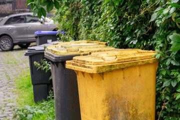 Yellow, black and blue garbage bins installed in a row near a fence in a residential area, waste sorting and storage concept, separate disposal of food waste, paper and plastic packaging,