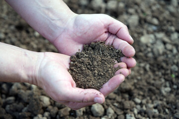 hands holding soil