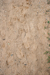 Spectacular soil texture with human footprints and some leaves of plants and trees in a rainforest.