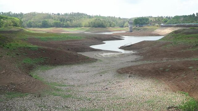 The El-Nino natural disaster caused one of the largest dams in Bali, the Palasari Dam, to experience the worst drought in history. The dam water receded and the land became dry and fragmented