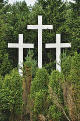  Three white crosses among trees in a green forest, Christianity