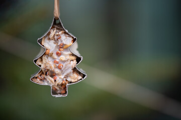 Close-up of a Christmas tree cookie cutter filled with birdseed and fat. The background is green with space for text.