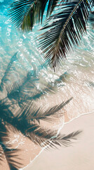 Minimalist Top View of Tropical Beach with Palm Leaf Shadow on Sand and Rippling Clear Water in Bright Sunlight.