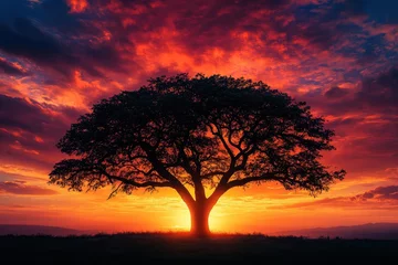 Majestic tree silhouetted against a vibrant sunset in a serene landscape expressing the beauty of nature and tranquility during golden hour © SaroStock