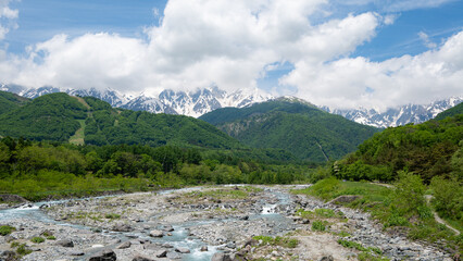 新緑の山と残雪の北アルプス　長野県白馬村