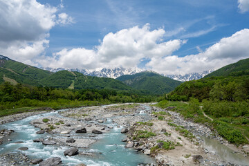 新緑の山と残雪の北アルプス　長野県白馬村