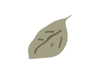 秋の落ち葉　茶色　グラフィック素材 