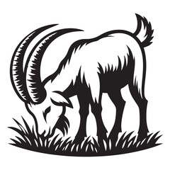 Wild goat eating grass illustration vector