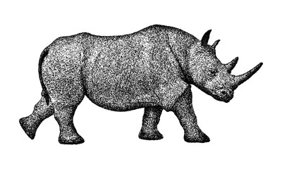 Obraz premium Illustration of a walking rhinoceros in vintage stipple engraving style isolated on transparent background