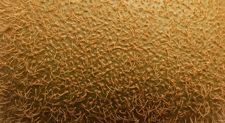 Extreme Close-Up of Kiwi Skin Texture Showing Fine Hair and Natural Brown-Green Surface Details