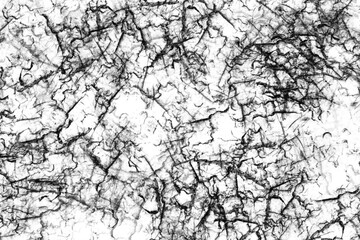Fototapeta premium Black and white cracked texture creating dramatic abstract background