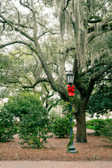 Christmas time in Savannah