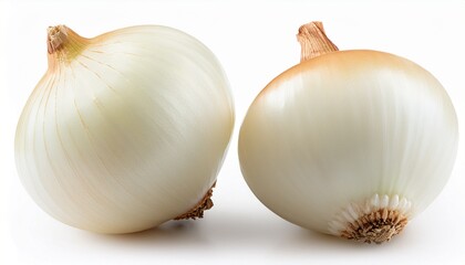 two white onions isolated on white background with clipping path