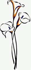 Elegant Calla Lily Line Art Drawing: Two Flowers