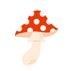Fly agaric. Amanita Muscaria. Hand-drawn colored flat vector illustration isolated on white background.