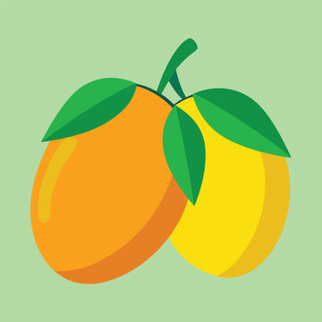 Haden two mango orange fruit with leaves 